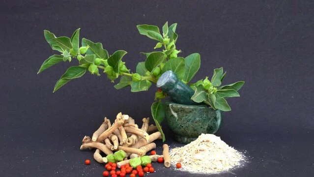 Immunomodulatory herbs in Ayurveda: exploring Rasayana and non-rasayana approaches